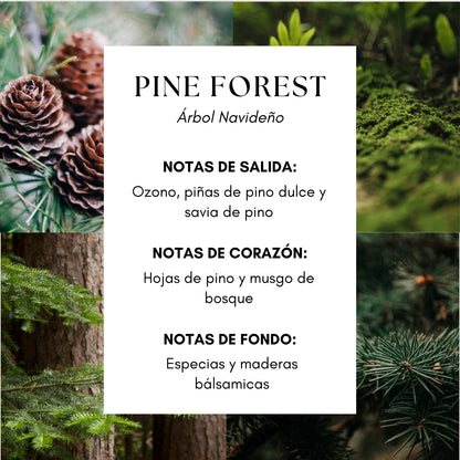 Pine Forest Fragrance Oil- Savia de pino|Ozono|Maderas