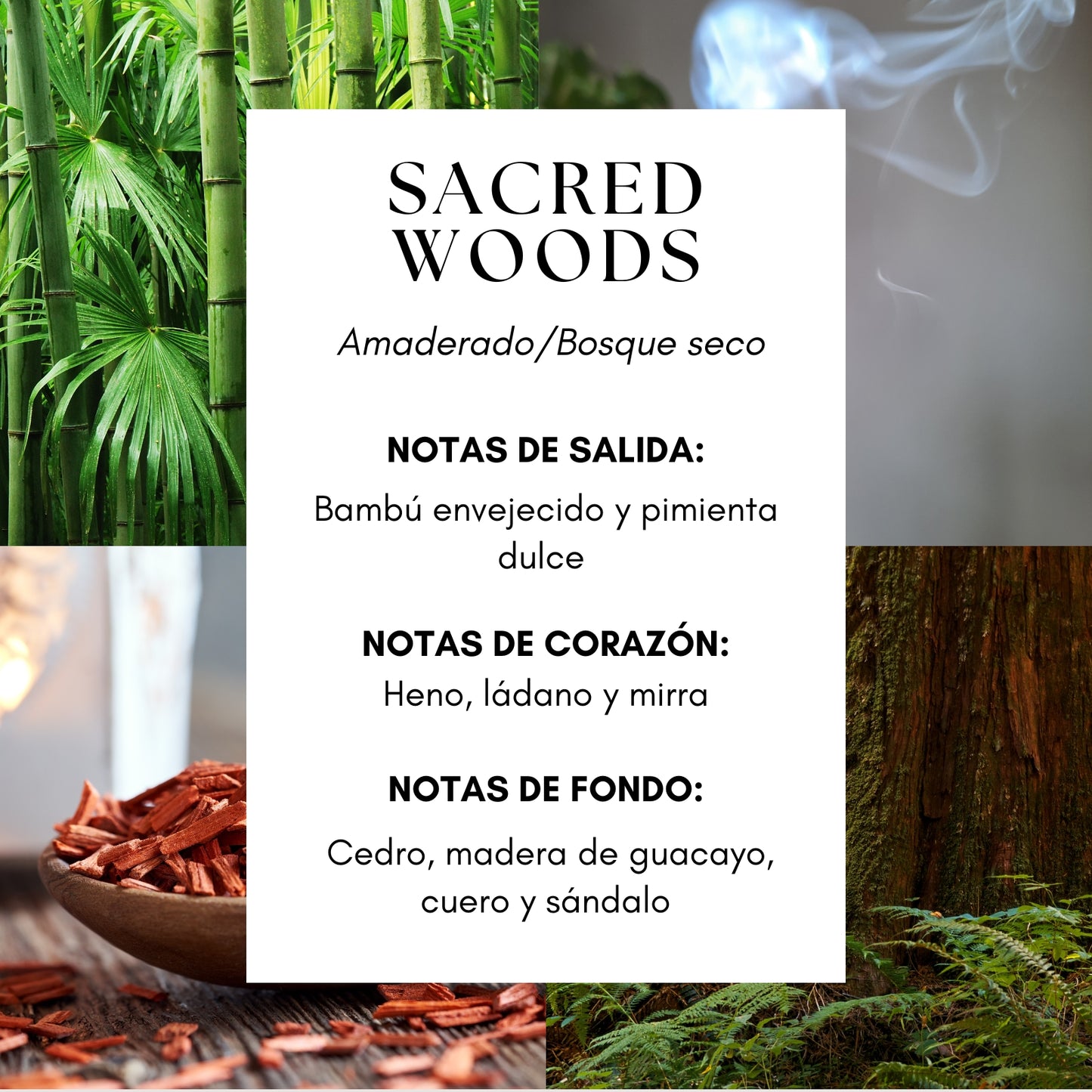 Sacred Woods Candle - Inspirado en Tree House by Byredo