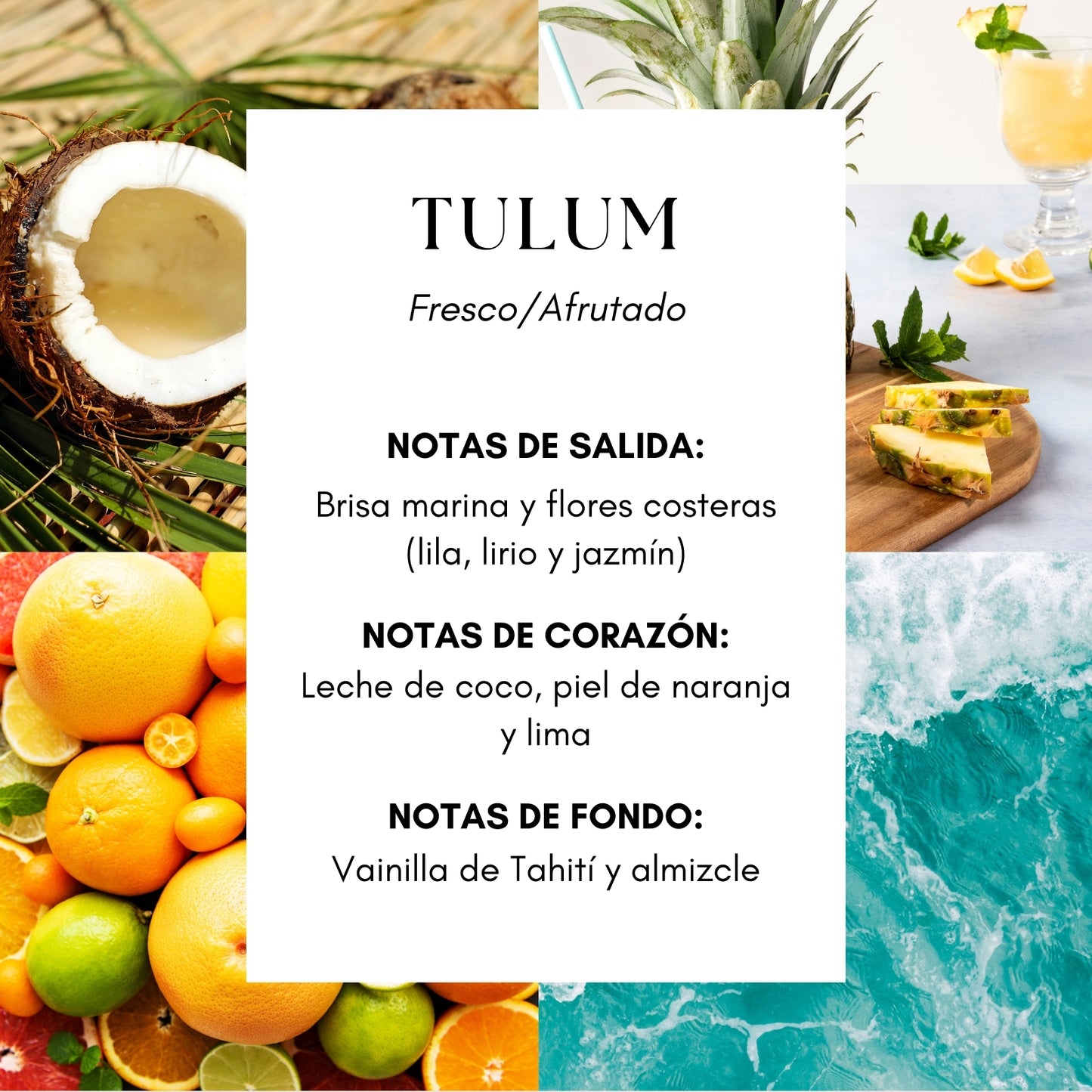 Tulum Fragrance Oil- Hotel Caribbean Beach