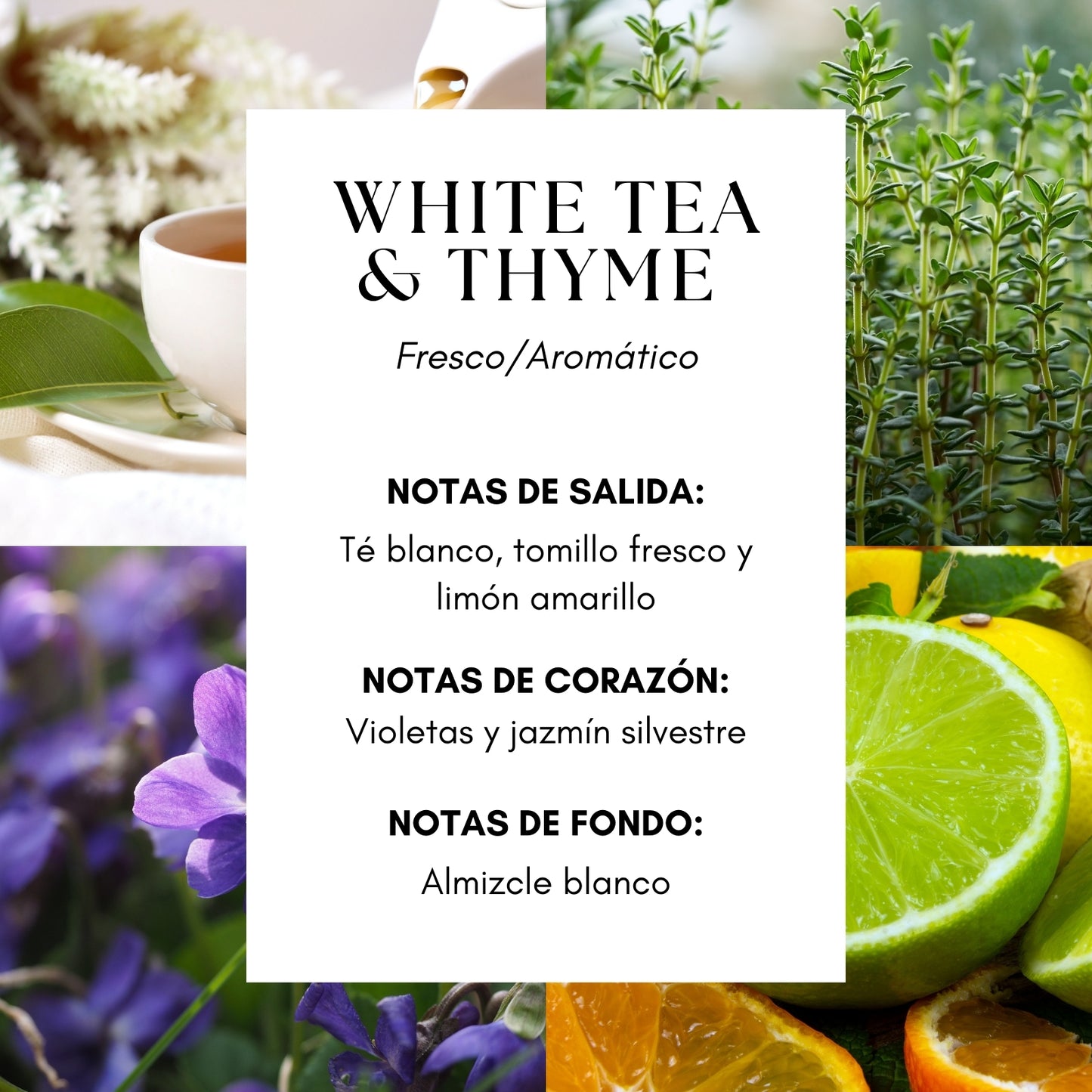 White Tea & Thyme Home Perfume - Hotel Ritz Vienna