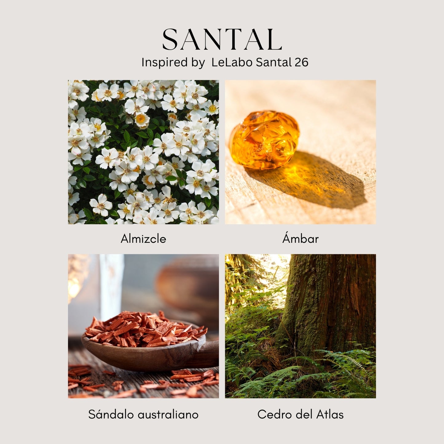 Santal Candle - Inspirado en Santal 26 by Le Labo