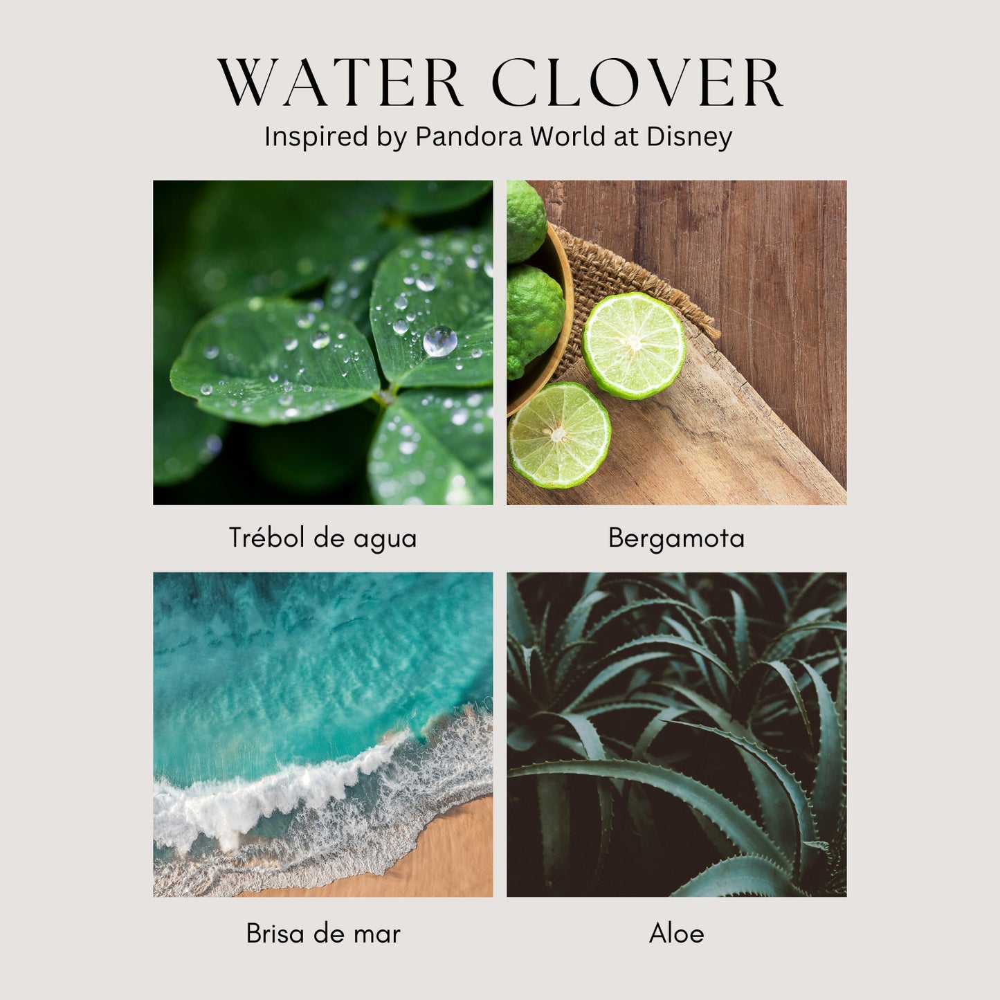 Water Clover Home Perfume - Bergamota | Brisa de mar | Aloe